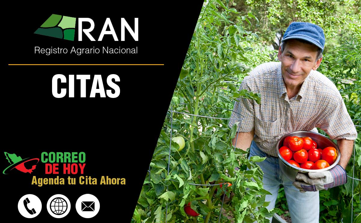 Citas RAN - Información de Teléfonos y Delegaciones - citas.ran.gob.mx 2025