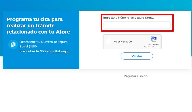 Ingresa tu Número de Seguro Social